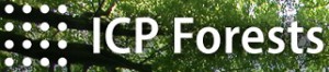 ICP Forests
