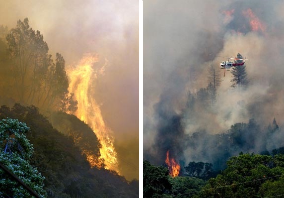 Мастер-класс “ГИС-анализ в задачах прогнозирования лесных пожаров и оценки их последствий”