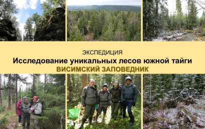 Экспедиция «Исследование уникальных лесов южной тайги, Висимский заповедник»