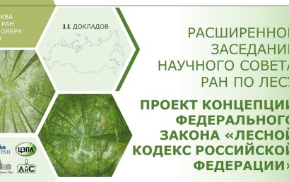 Концепция проекта ФЗ «Лесной кодекс Российской Федерации»