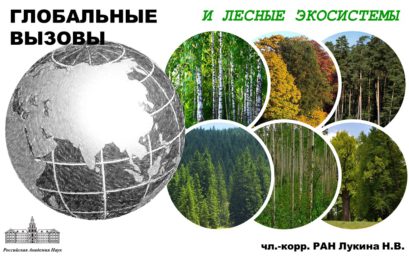 Глобальные вызовы и лесные экосистемы
