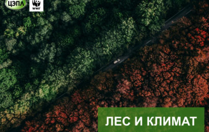 Цикл лекций “Изменение климата в России”