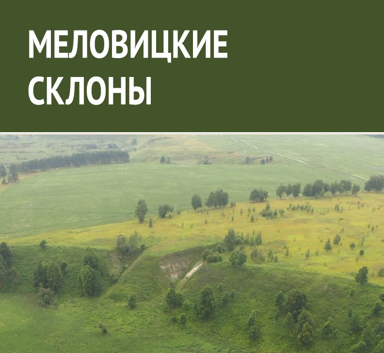 Памятник природы «Меловицкие склоны»: структура и динамика растительного покрова