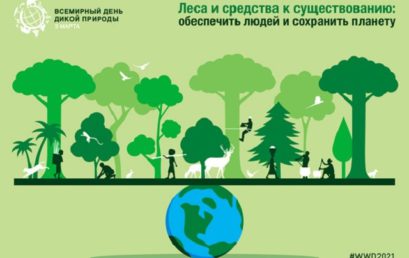 Леса и средства к существованию: обеспечить людей и сохранить планету