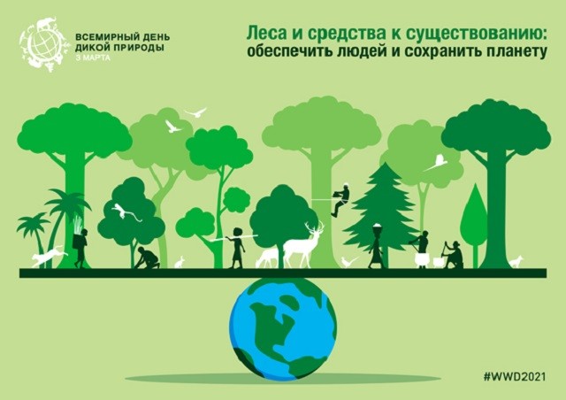 Леса и средства к существованию: обеспечить людей и сохранить планету
