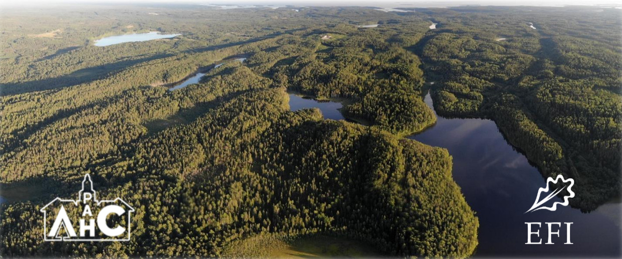 Семинар «Изменение климата и леса России: климатически оптимизированное ведение лесного хозяйства»