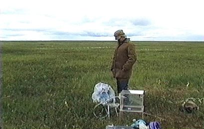 Арктические экспедиции ЦЭПЛ РАН: Таймыр и Воркута