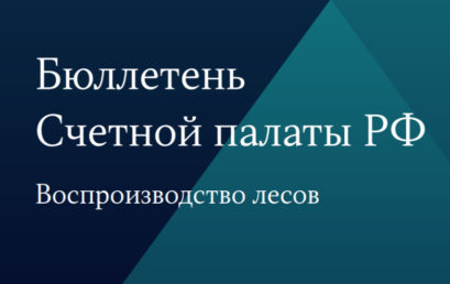 Обсуждение итогов отчета Счетной палаты Российской Федерации: Аудит эффективности мер по воспроизводству лесов в Российской Федерации