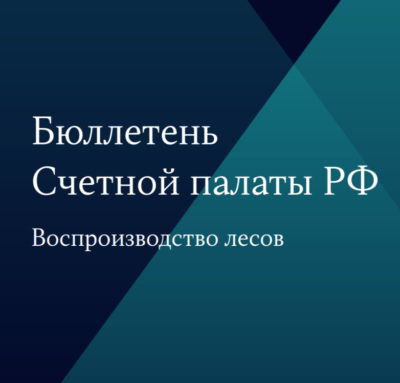 Обсуждение итогов отчета Счетной палаты Российской Федерации: Аудит эффективности мер по воспроизводству лесов в Российской Федерации