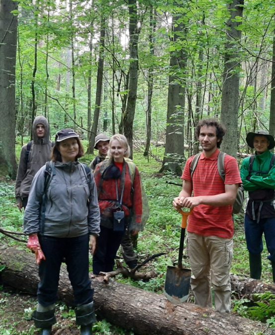 Сотрудники ЦЭПЛ РАН продолжили поиск агрогенной метки в лесных экосистемах нацпарка «Смоленское Поозерье»