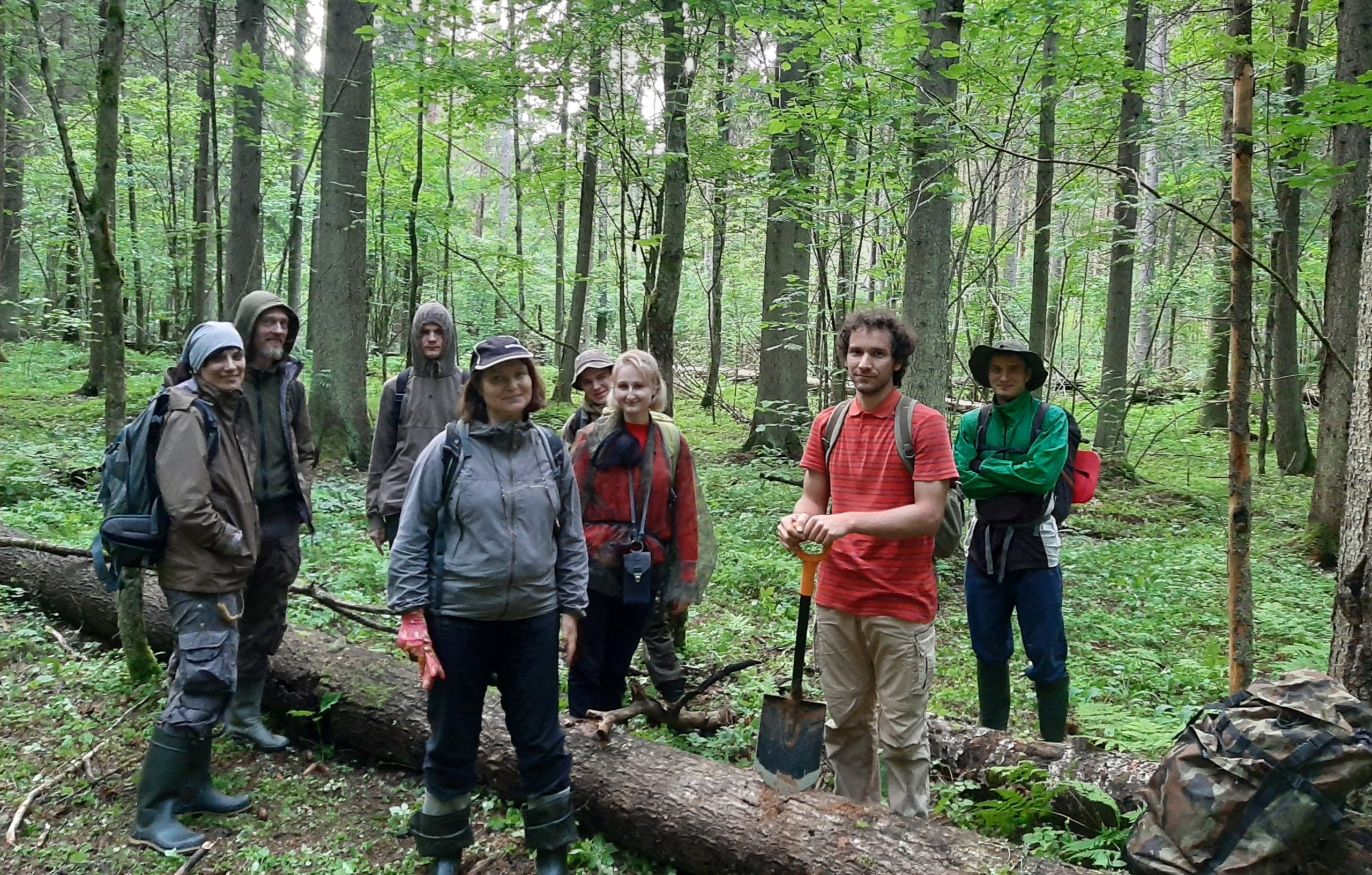 Сотрудники ЦЭПЛ РАН продолжили поиск агрогенной метки в лесных экосистемах нацпарка «Смоленское Поозерье»