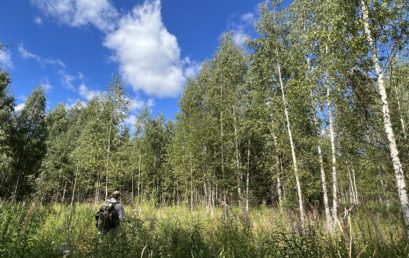 Обследование заросших лесом сельскохозяйственных земель сотрудниками ЦЭПЛ РАН