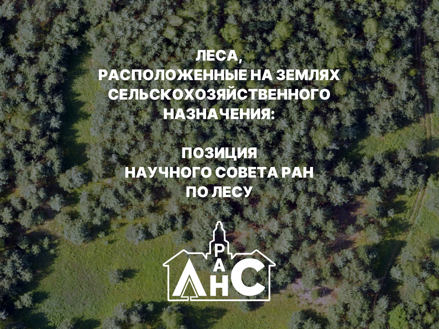 Леса, расположенные на землях сельскохозяйственного назначения: позиция Научного совета РАН по лесу