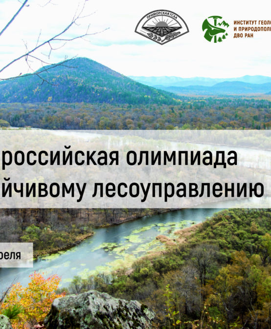 VIII Всероссийская олимпиада по устойчивому лесоуправлению – 27 марта 2023 г.