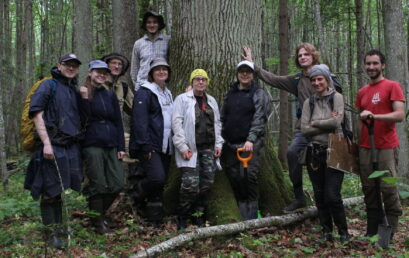 Сотрудники ЦЭПЛ РАН продолжили поиск агрогенной метки в хвойно-широколиственных лесах национального парка «Смоленское Поозерье»