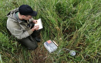 Полевые работы Лаборатории климаторегулирующих функций лесов в Вологодской области
