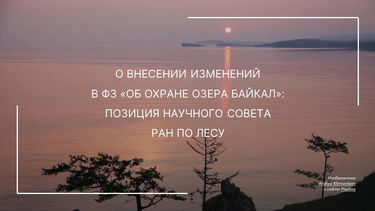 Позиция Научного совета РАН по лесу на законопроект о внесении изменений в ФЗ «Об охране озера Байкал»