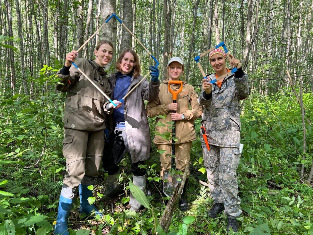 Продолжение полевых работ Лаборатории климаторегулирующих функций лесов в Вологодской области