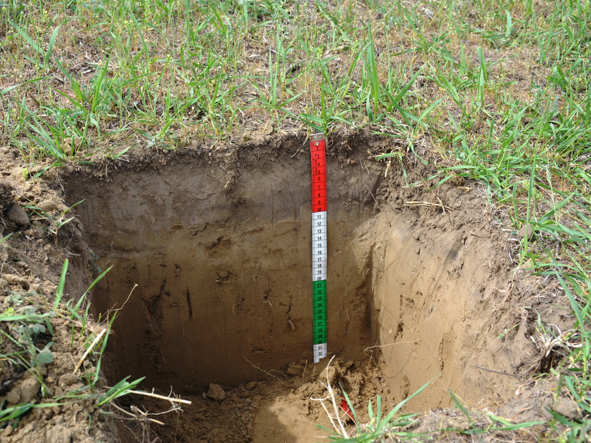 8. Почва межгрядовых понижений