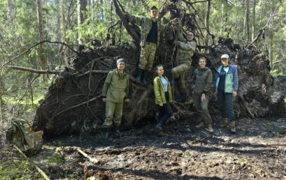 ЦЭПЛ РАН продолжает работы на заброшенных сельскохозяйственных землях Вологодской области