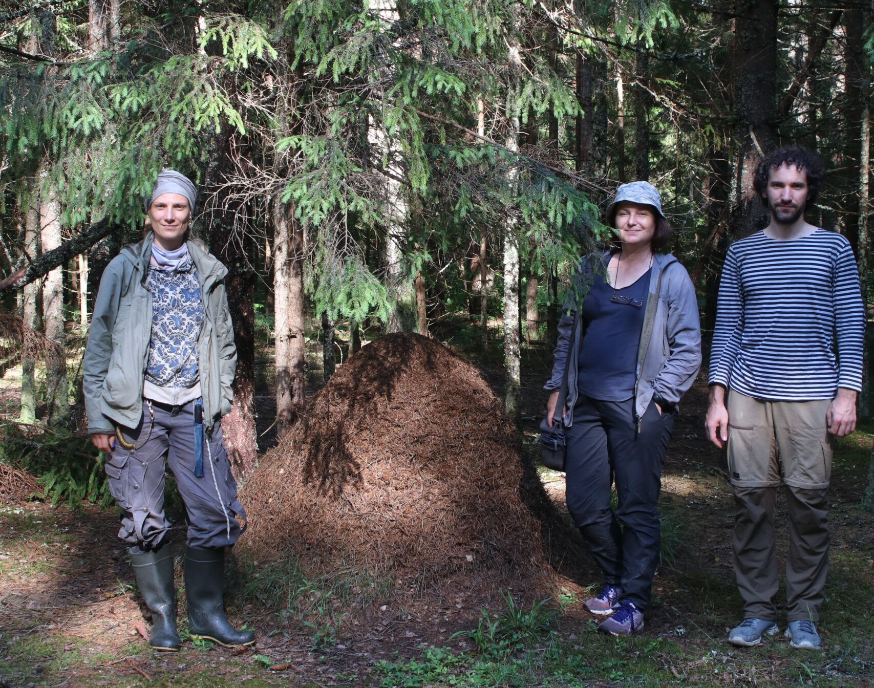 Сотрудники ЦЭПЛ РАН продолжают исследовать национальный парк «Смоленское Поозерье»